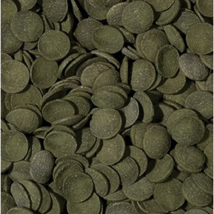 Tropical Green Algae Wafers 250ml /113g AKCE